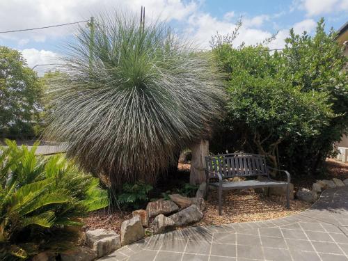 a bench in a garden with a large grass plant at Leichhardt Motor Inn in Toowoomba