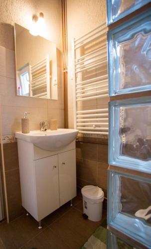a bathroom with a sink and a mirror at Casa Tibi in Praid