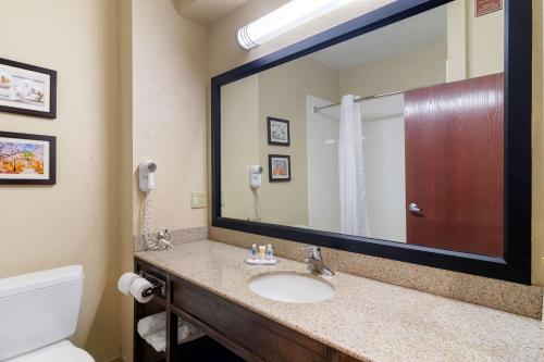 a bathroom with a sink and a large mirror at Comfort Inn & Suites in Griffin