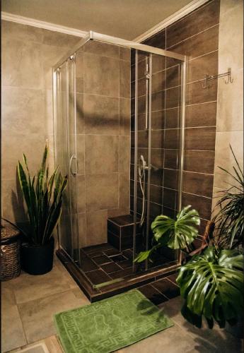 a bathroom with a shower with plants in it at Карпатське Hygge котедж для двох з чаном-джакузі у горах in Slavske