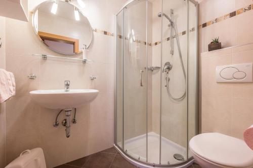 uma casa de banho com um chuveiro, um lavatório e um WC. em Niederkoflhof Durreck em Cadipietra