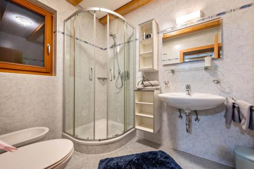 a bathroom with a shower and a sink and a toilet at Niederkoflhof Wollbach in Cadipietra