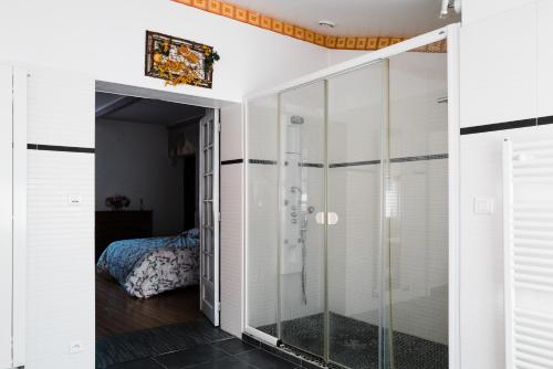 Una ducha de cristal en una habitación con dormitorio en Maison des 4 Vallées, en La Barthe-de-Neste