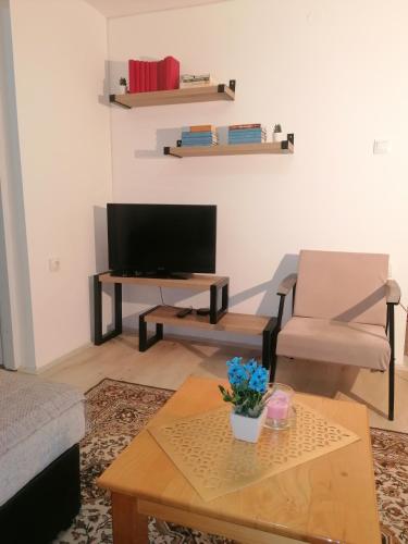 a living room with a television and a table at SIMIĆ planinska kuća in Divčibare