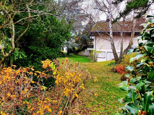 une cour avec une maison et un jardin fleuri dans l'établissement Birnie, à Wiesbaden