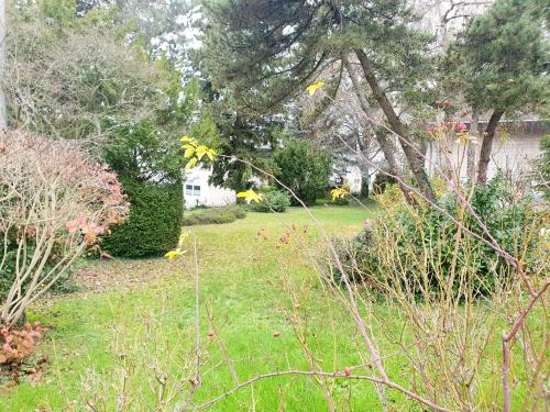 une cour avec une pelouse et des arbres dans l'établissement Birnie, à Wiesbaden