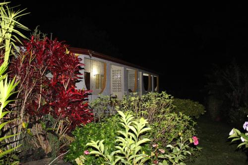 a garden with flowers and plants at night at Hotel Valle Verde in Valle de Anton