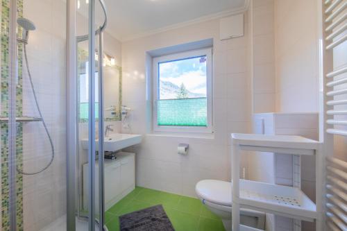 a bathroom with a toilet and a sink and a window at Haus Pitzer/Apartments Troicher in Schladming
