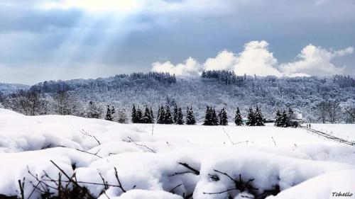 a snow covered field with trees and a mountain at La Maison du Sabotier in Custinne