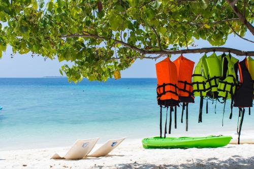 a group of umbrellas and surfboards on the beach at Maafolhey Han'dhaan - Ukulhas in Ukulhas