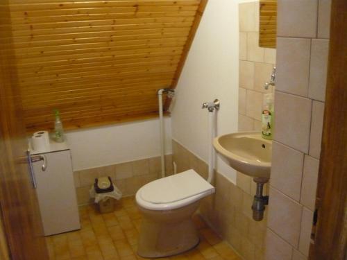 a small bathroom with a toilet and a sink at Holiday home Sellő Vendégház in Tiszafüred