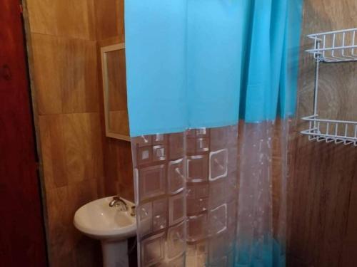 baño con lavabo y cortina de ducha en Cabaña Buenos Recuerdos II en Villa Santa Cruz del Lago