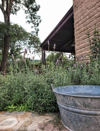 Finca los Rosales – Photos 2