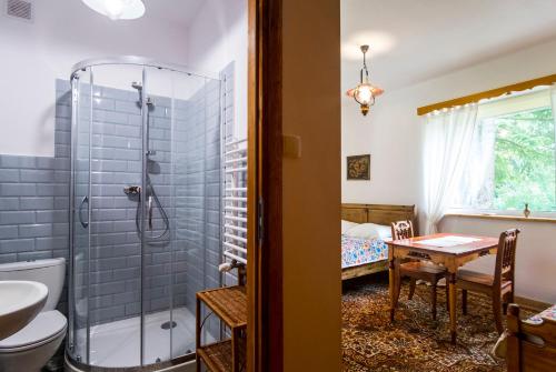 a bathroom with a shower and a table and a sink at Willa Żbikówka dom w Zakopanem in Zakopane