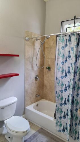 a bathroom with a toilet and a shower curtain at Casa Pinto Guest Apartment in Kingston