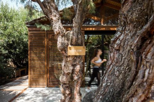 a sign on a tree in front of a building at Phāea Cretan Malia, a Member of Design Hotels in Malia