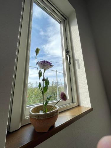 a flower in a vase sitting on a window sill at HIROSAKI清水森はうす in Hirosaki