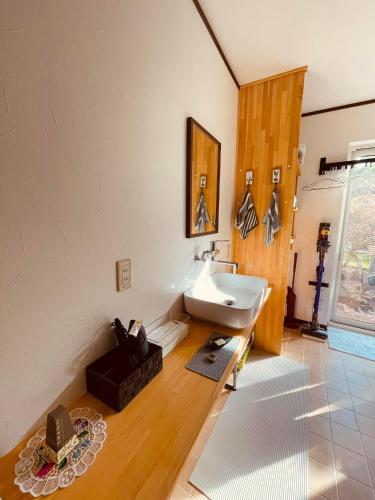 a bathroom with a sink and a mirror at HIROSAKI清水森はうす in Hirosaki