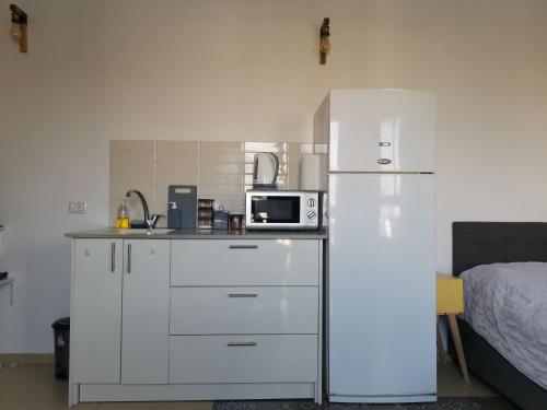 a kitchen with a white refrigerator and a microwave at נופש מול הכנרת Vacation in front of the Sea Galilee in Tiberias