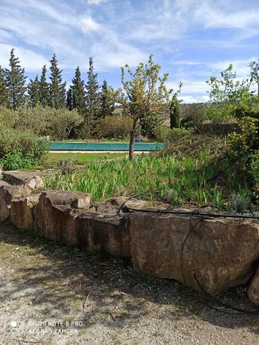 a rock garden with a pool in the background at Le Rocher au Thym in Limoux