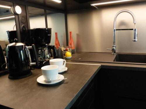 2 tasses à café sur un comptoir dans une cuisine dans l'établissement Appartement élégant et confortable au cœur de Vichy, près de l'Opéra et des Parcs Napoleon III - FR-1-489-303, à Vichy