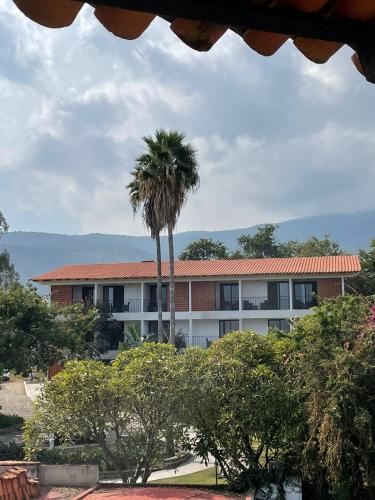 a building with a palm tree in front of it at CASA RIVERA DE MORAS in San Luis Soyatlán