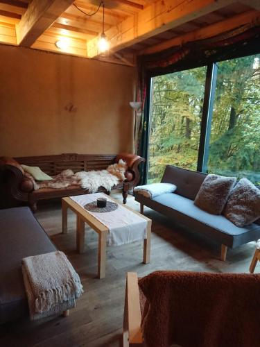 a living room with couches and a dog laying on a table at Mountain Lodge Azzy, surrounded by Ultimate Peace! in Valašské Klobouky