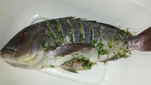 a fish sitting on a plate on a table at Apartments Akacijev Izvir in Miklavž na Dravskem Polju