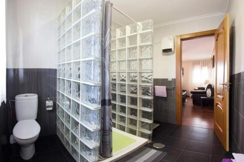 a bathroom with a toilet and a shower with glass panels at Villa Paula in Avilés