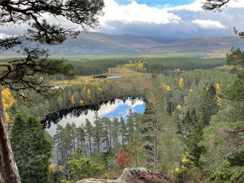 an autumn view of a bridge over a lake at Woodside retreat holiday home in Aviemore in Aviemore