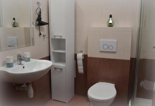 y baño con aseo y lavamanos. en Apartament Gwiazda 303, en Krynica-Zdrój