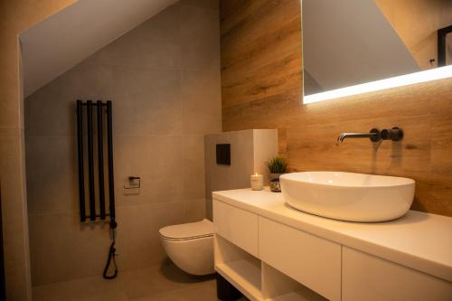 a bathroom with a sink and a toilet at Hillside No. 18 in Loučná pod Klínovcem