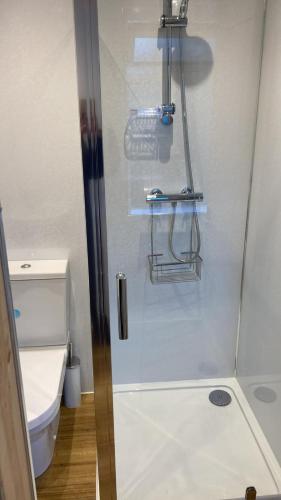 a shower with a glass door next to a toilet at Heart of Glencoe Holidays in Glencoe