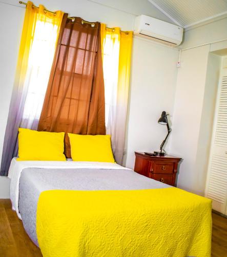 Gallery image of Potter's Place Guest House in Roseau