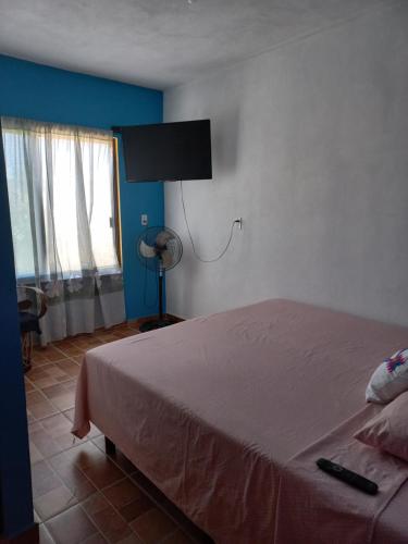 a bedroom with a bed and a window with a fan at Familia Sosa Suazo in San José del Cabo