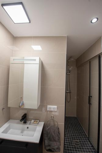 une salle de bain avec un lavabo et une douche dans l'établissement Attica, à Paris