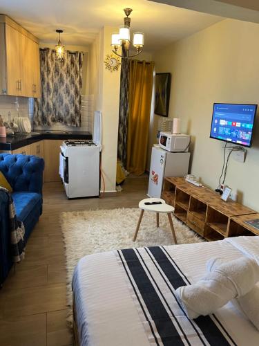 טלויזיה ו/או מרכז בידור ב-Ruby Modern Homes Studio-Imara Daima,Behind Imaara Mall-JKIA-Horizon