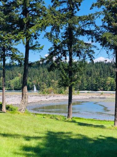 a group of trees next to a body of water at Beautiful Oceanview Retreat 2 Bedroom Home in Port Hadlock