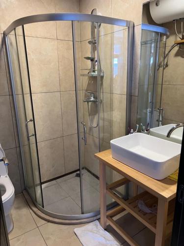 La salle de bains est pourvue d'une douche et d'un lavabo. dans l'établissement Dima's Apartment in Mgzavrebi, à Gonio