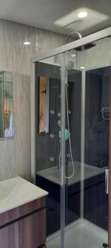 baño con ducha y puerta de cristal en Cabin Quinta Pomar Do Pontido, en Cabeceiras de Basto