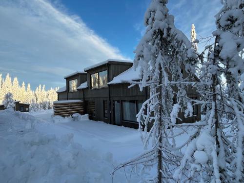 a log cabin in the snow with a tree at Martebäcken 19 in Sälen