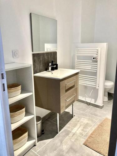 une salle de bain avec un lavabo et un miroir et des toilettes dans l'établissement Duplex au coeur du village, à Les Mées