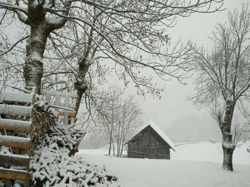 Chalet Lucie LE CHEVAL NOIR semasa musim sejuk