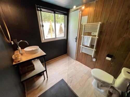 uma casa de banho com um lavatório, um WC e uma janela. em Superbe Cabane JACUZZI JARDIN CLIM WIFI PARKING em Meyreuil