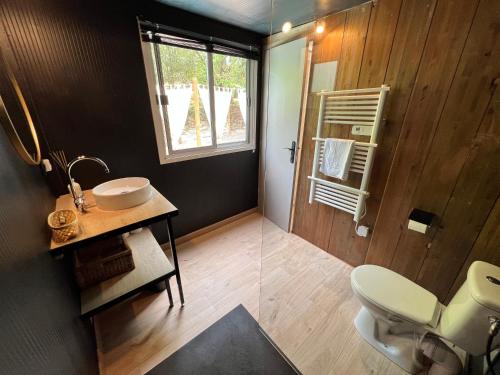 une salle de bain avec un lavabo et des toilettes et une fenêtre dans l'établissement Superbe Cabane JACUZZI JARDIN CLIM WIFI PARKING, à Meyreuil
