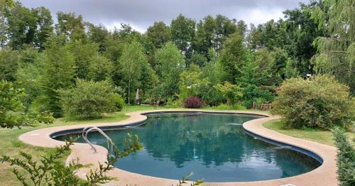 a swimming pool in the middle of a garden at Tierra de Domos in Villarrica