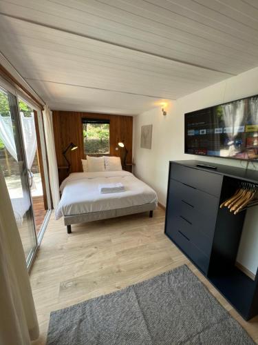 - une chambre avec un lit, une télévision et une cheminée dans l'établissement Superbe Cabane JACUZZI JARDIN CLIM WIFI PARKING, à Meyreuil