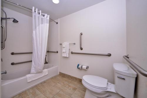 a bathroom with a toilet and a shower and a tub at Holiday Inn Express & Suites Page - Lake Powell Area, an IHG Hotel in Page