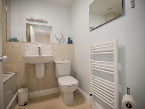 a bathroom with a toilet and a sink and a mirror at Mead Cottage in Bridport
