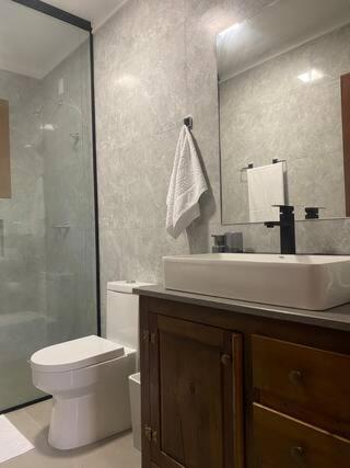 La salle de bains est pourvue d'un lavabo, de toilettes et d'une douche. dans l'établissement Casa, sítio, aconchegante no Vale dos Vinhedos., à Bento Gonçalves